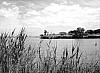 baie de Carthage de nos jours.jpg